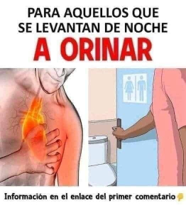 Para aquellos que se Levantan de Noche a Revisar la Casa o a Orinar; Entiendiendo las causas y como Mejorar el Descanso